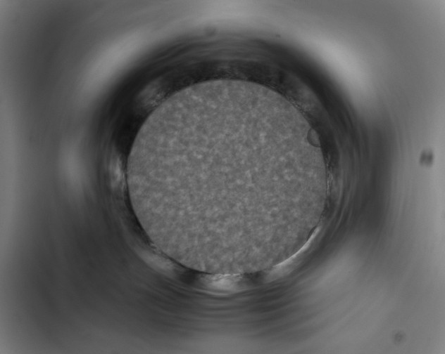 X0000102340191200808291146