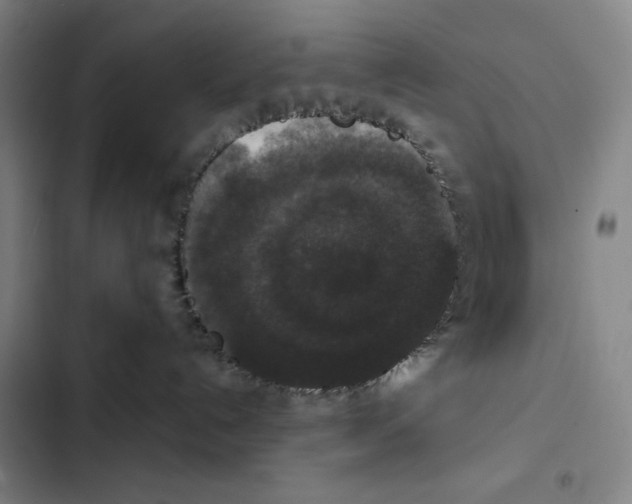 X0000102340192200808291146