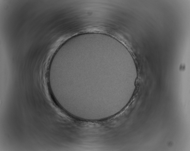 X0000102340193200808291145