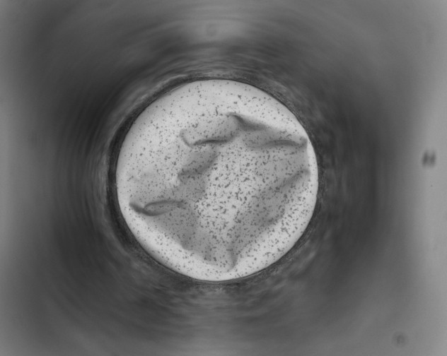 X0000102340194200808291145