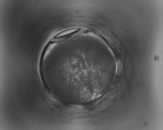 X0000102340195200808291145