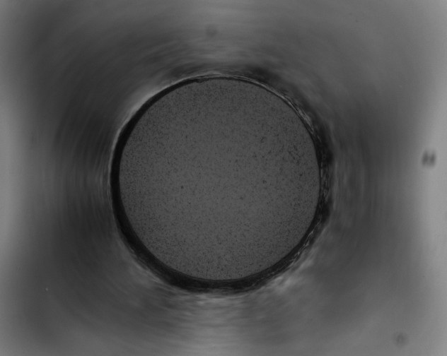 X0000102340196200808291145