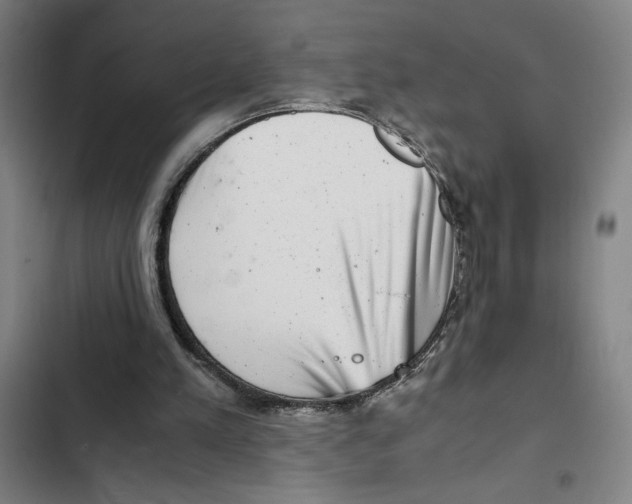 X0000102340197200808291145