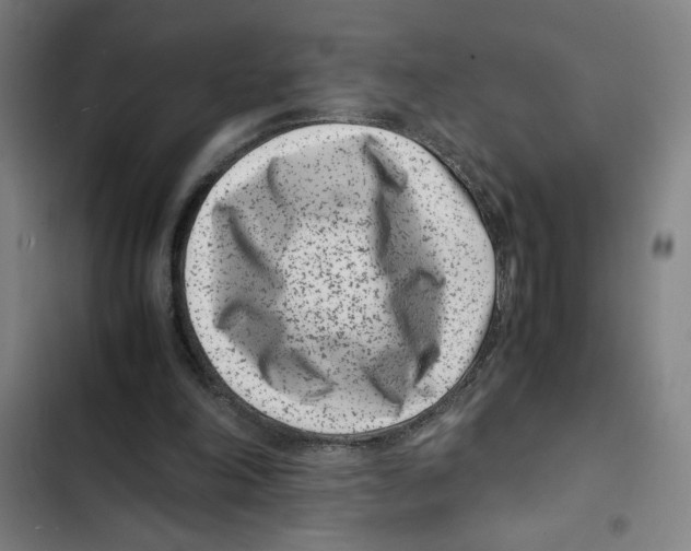 X0000102340198200808291145