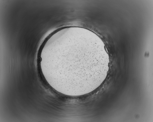 X0000102340200200808291145