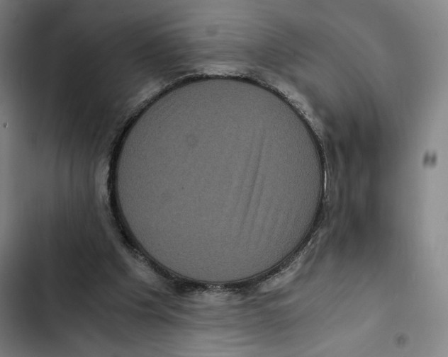 X0000102340201200808291145