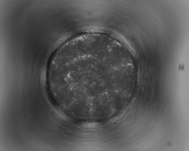 X0000102340202200808291145