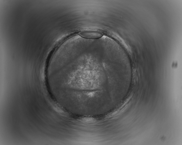 X0000102340203200808291145