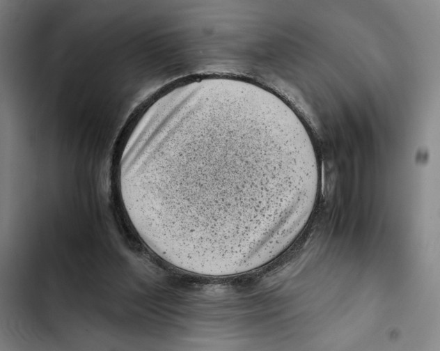 X0000102340204200808291145