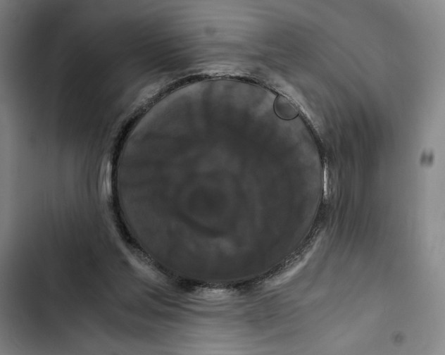 X0000102340205200808291145
