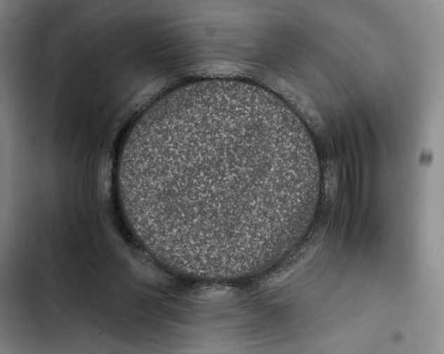 X0000102340206200808291145