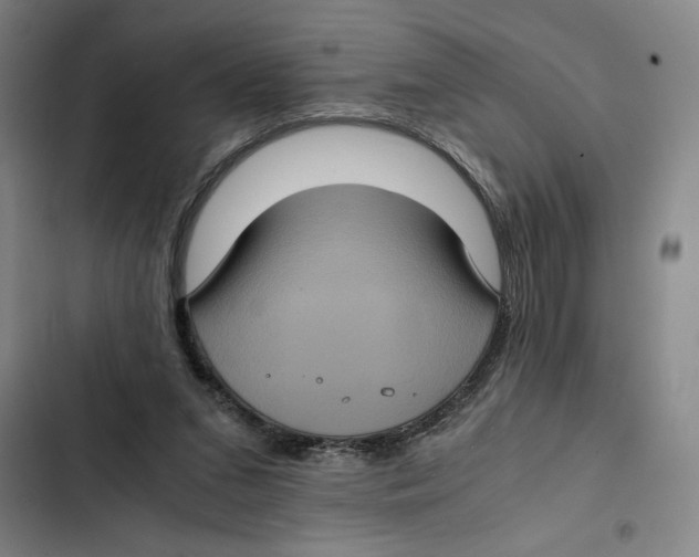 X0000102340207200808291145