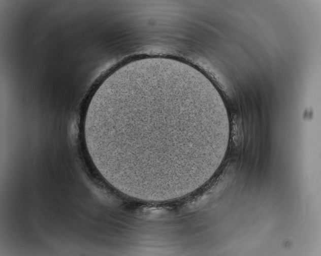 X0000102340208200808291145