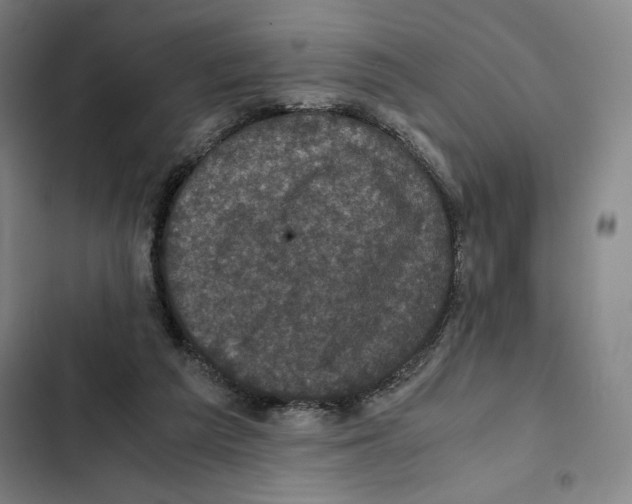 X0000102340209200808291145