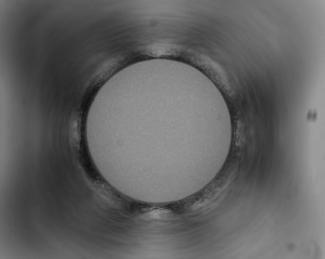 X0000102340210200808291145