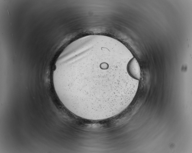 X0000102340212200808291145