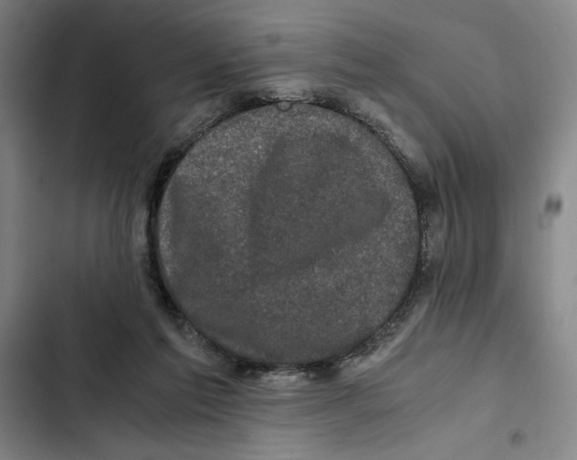 X0000102340213200808291145