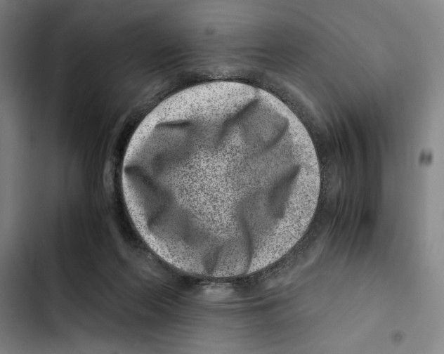 X0000102340214200808291145