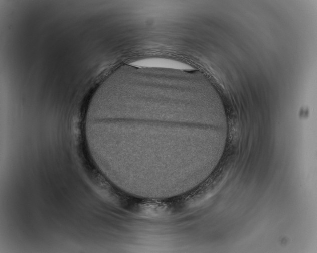 X0000102340215200808291145