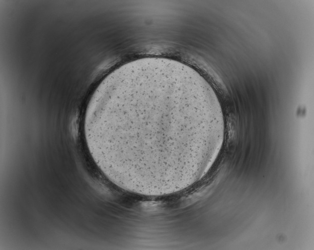 X0000102340216200808291145