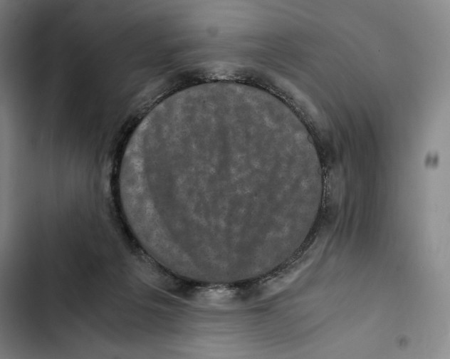 X0000102340217200808291145