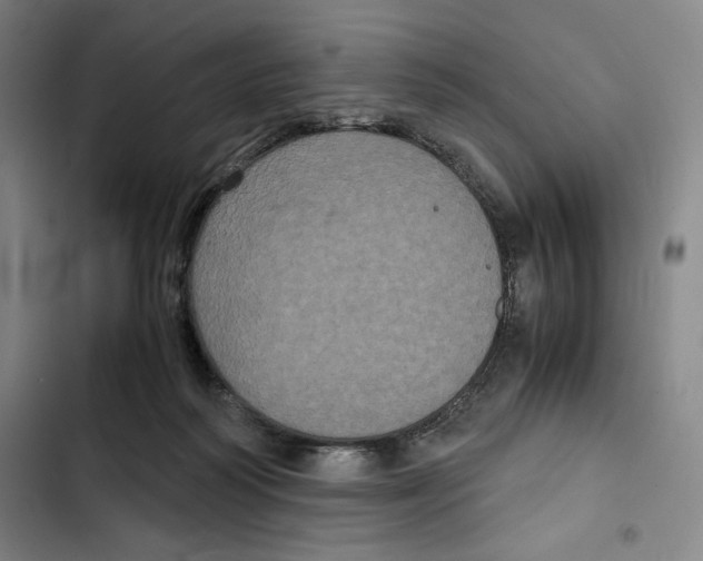X0000102340218200808291145