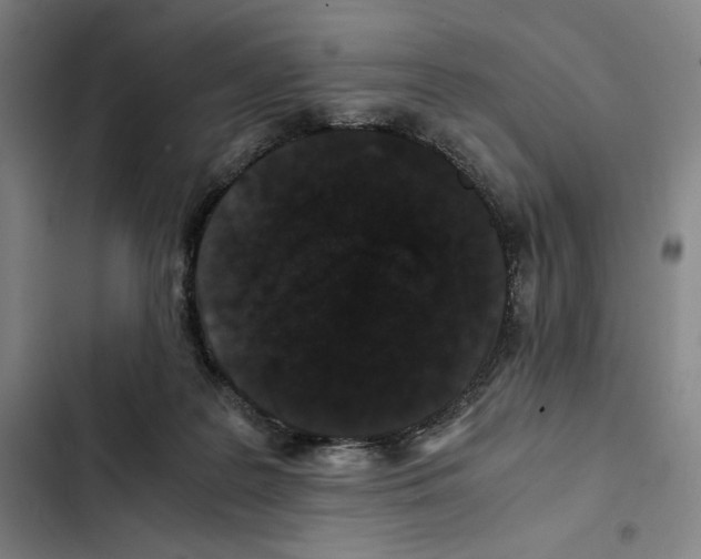 X0000102340219200808291145