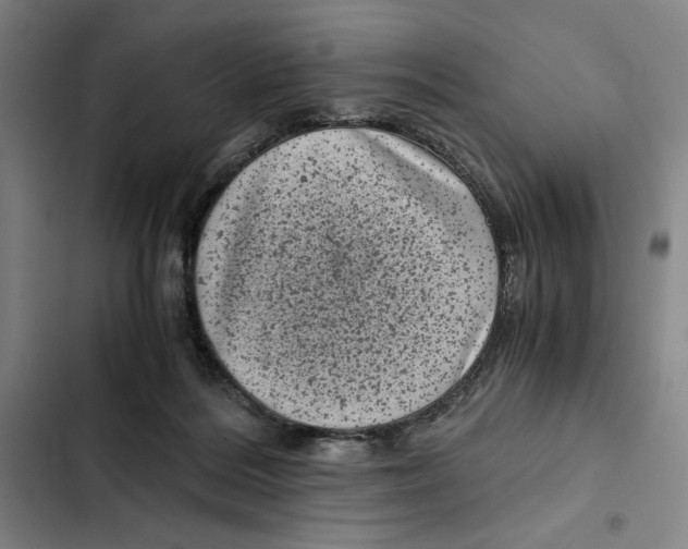 X0000102340220200808291145