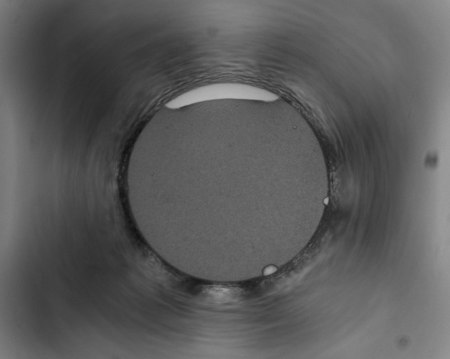 X0000102340221200808291145