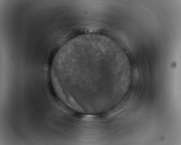 X0000102340222200808291145