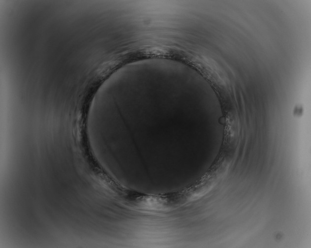 X0000102340223200808291145