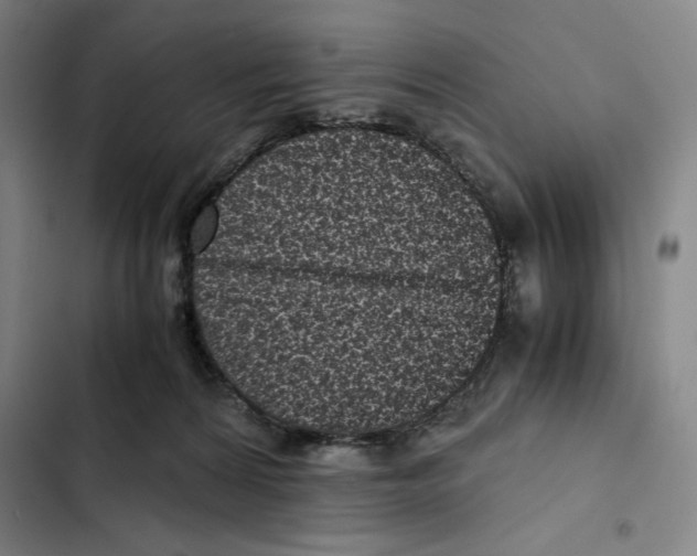 X0000102340224200808291145