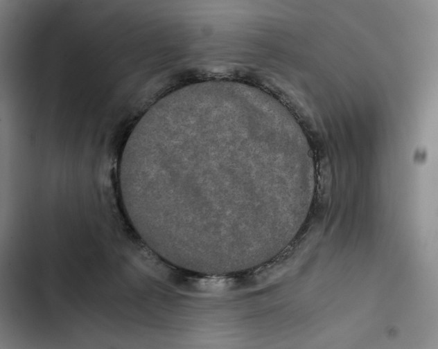 X0000102340225200808291145