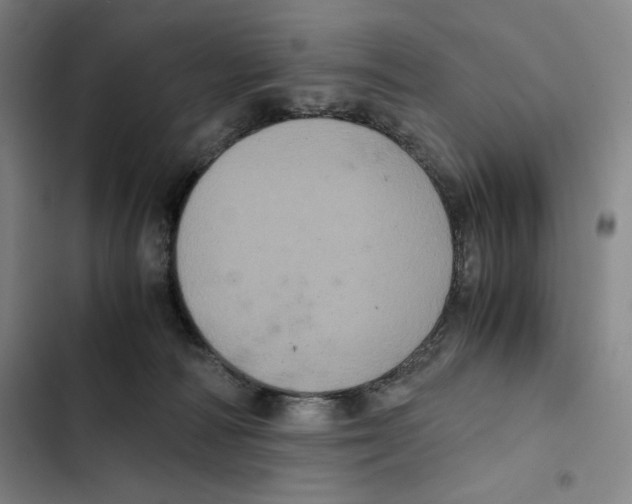 X0000102340226200808291145