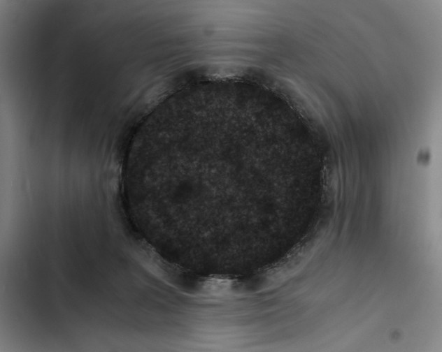 X0000102340227200808291145