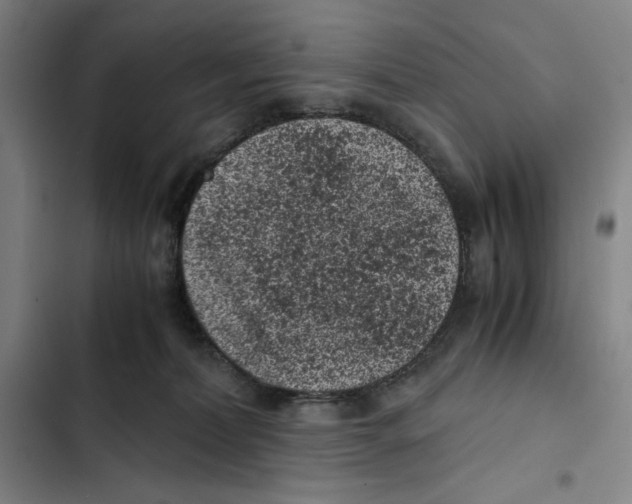 X0000102340228200808291145