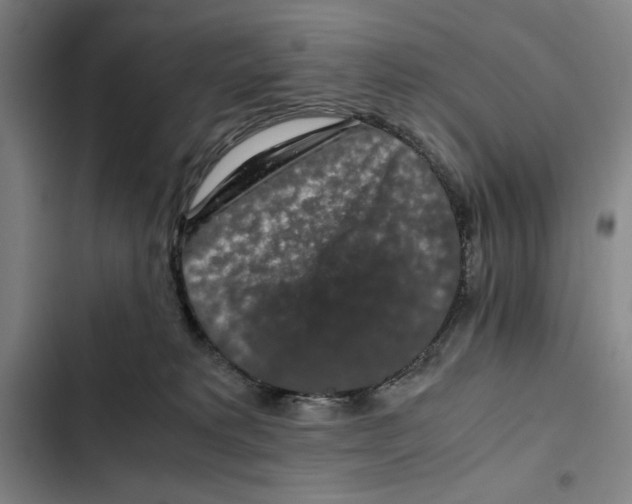 X0000102340229200808291145
