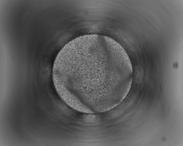 X0000102340230200808291145