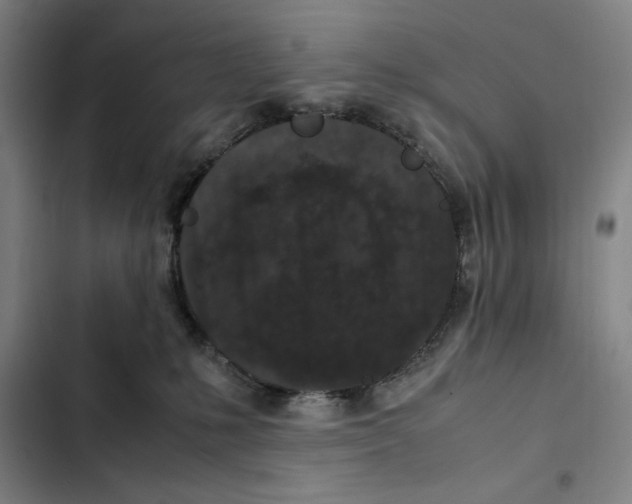 X0000102340231200808291145