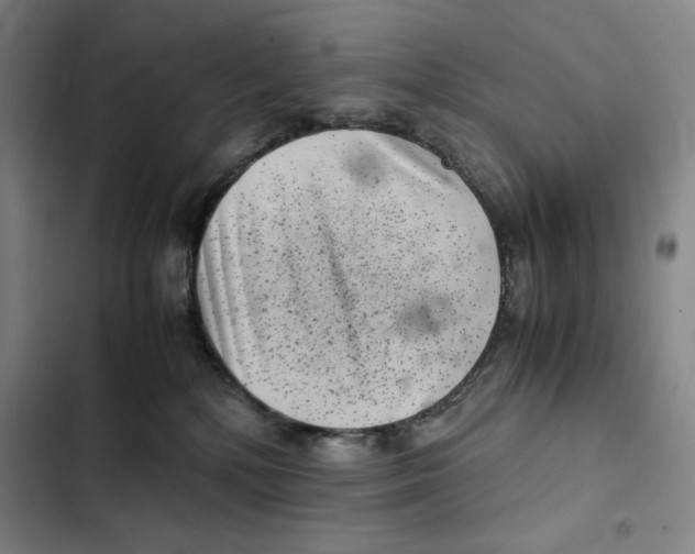 X0000102340232200808291145