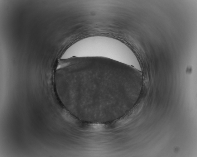 X0000102340233200808291145