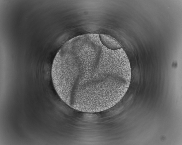X0000102340234200808291145