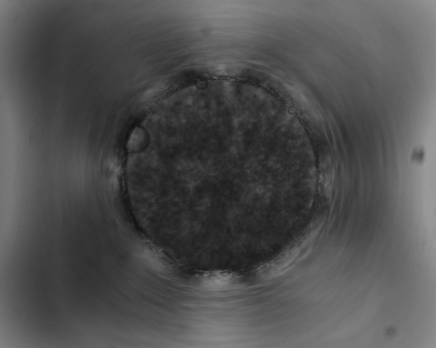 X0000102340235200808291145