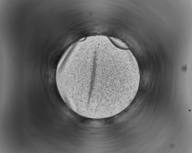 X0000102340236200808291145