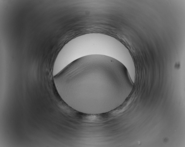 X0000102340237200808291145