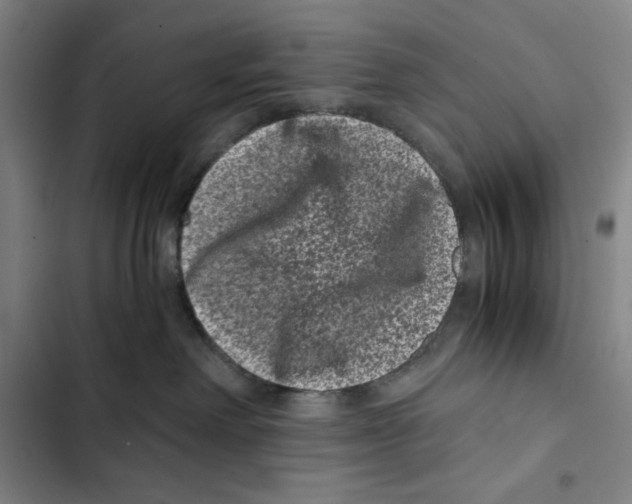 X0000102340238200808291145