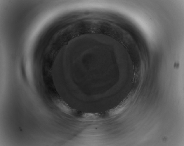 X0000102340239200808291145