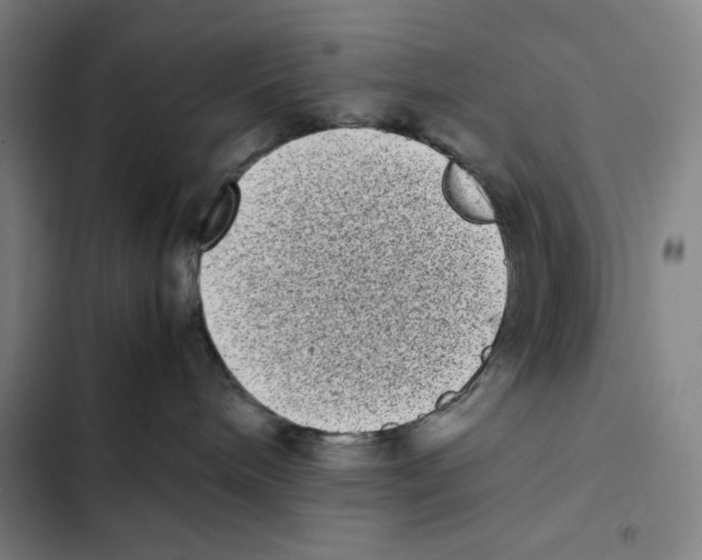 X0000102340240200808291145