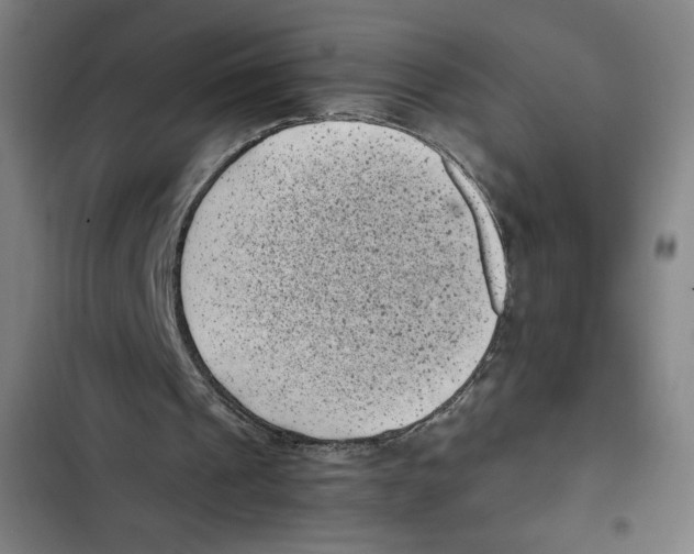 X0000102340241200808291144