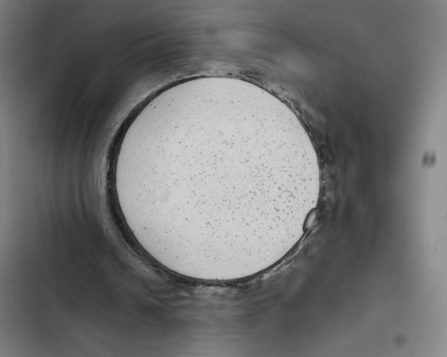 X0000102340242200808291144